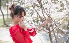 国产无遮挡A片无码免费